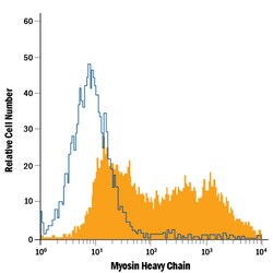 Human Myosin Heavy Chain APC-conjugated Antibody, R D Systems 100 Tests;