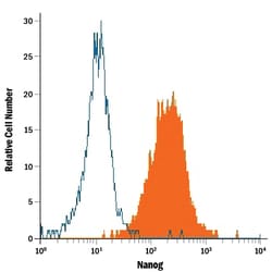 Mouse Nanog Antibody, R D Systems 25&mu;g; Unlabeled:Antibodies, Polyclonal