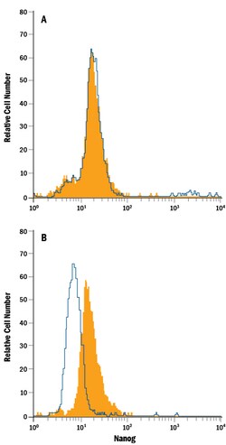 Human Nanog PE-conjugated Antibody, R D Systems 100 Tests | Buy Online | R&D Systems | Fisher Scientific