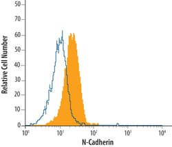 Human/Mouse/Rat N-Cadherin Antibody, R D Systems 100&mu;g; Unlabeled:Antibodies,
