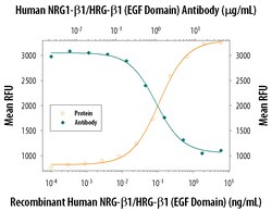 Human NRG1-beta 1/HRG1-beta 1 EGF Domain Antibody, R D Systems 100&mu;g;