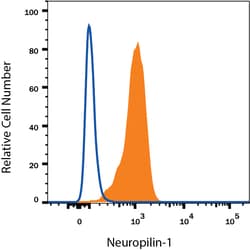 Human Neuropilin-1 Fluorescein-conjugated Antibody, R D Systems:Antibodies:Primary