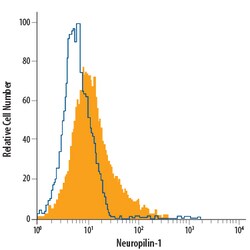 Mouse/Rat Neuropilin-1 Fluorescein-conjugated Antibody, R D Systems 100