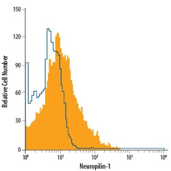 Mouse/Rat Neuropilin-1 Alexa Fluor 700-conjugated Antibody, R D Systems