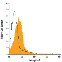 Mouse/Rat Neuropilin-1 PE-conjugated Antibody, R D Systems 100 Tests; PE:Antibodies,