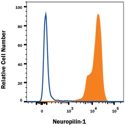 Human Neuropilin-1 Antibody, R D Systems 100ug; Unlabeled:Antibodies, Monoclonal