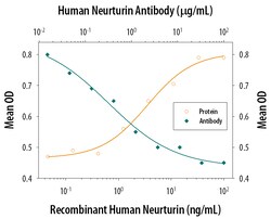 Human Neurturin Antibody, R D Systems 25&mu;g; Unlabeled:Antibodies, Polyclonal