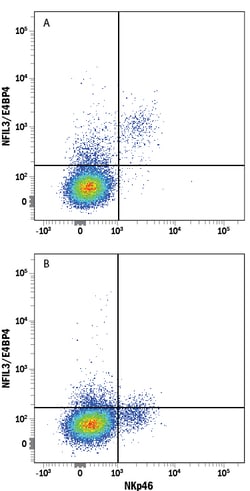 Mouse NFIL3/E4BP4 Antibody, R D Systems:Antibodies:Primary Antibodies