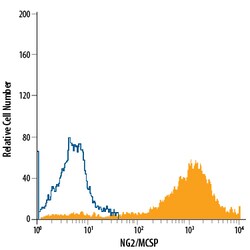 Human NG2/MCSP APC-conjugated Antibody, R D Systems 100 Tests; APC:Antibodies,