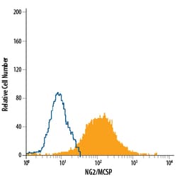 Human NG2/MCSP Fluorescein-conjugated Antibody, R D Systems 100 Tests;