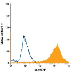 Human NG2/MCSP PE-conjugated Antibody, R D Systems 100 Tests | Buy Online | R&D Systems | Fisher Scientific