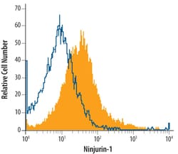 Human Ninjurin-1 Antibody, R D Systems 25&mu;g; Unlabeled:Antibodies, Monoclonal