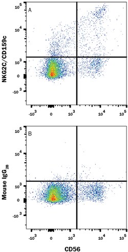 Human NKG2C/CD159c Antibody, R D Systems 25&mu;g; Unlabeled:Antibodies,