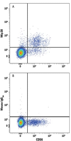 Human NKp30/NCR3 Alexa Fluor 488-conjugated Antibody, R D Systems 100 Tests;