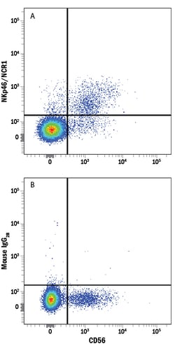 Human NKp46/NCR1 Fluorescein-conjugated Antibody, R D Systems 100 Tests;