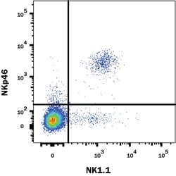 Mouse NKp46/NCR1 Fluorescein-conjugated Antibody, R D Systems:Antibodies:Primary