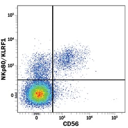 Human NKp80/KLRF1 APC-conjugated Antibody, R D Systems:Antibodies:Primary