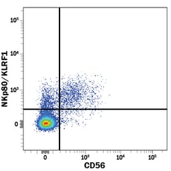Human NKp80/KLRF1 PE-conjugated Antibody, R D Systems:Antibodies:Primary