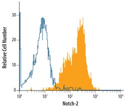 Human Notch-2 Antibody, R D Systems 100ug; Unlabeled:Antibodies