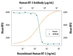 Human NT-3 Antibody, R D Systems:Antibodies:Primary Antibodies