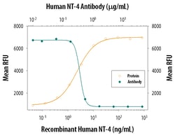Human NT-4 Antibody, R D Systems 100&mu;g; Unlabeled:Antibodies, Polyclonal