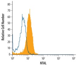 Human NTAL Antibody, R D Systems 25 &mu;g | Buy Online | R&D Systems | Fisher Scientific