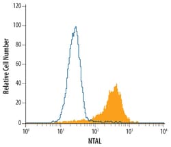 Human NTAL Antibody, R D Systems 100ug; Unlabeled:Anticuerpos
