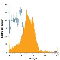 Human/Mouse Oct-3/4 APC-conjugated Antibody, R D Systems:Antibodies:Primary