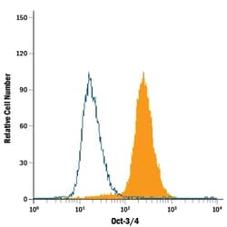 Human/Mouse Oct-3/4 Fluorescein-conjugated Antibody, R D Systems:Antibodies:Primary
