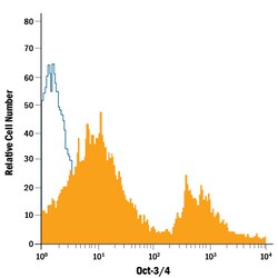 Human/Mouse Oct-3/4 PE-conjugated Antibody, R D Systems 100 Tests; PE:Antibodies,