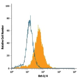 Human/Mouse Oct-3/4 PE-conjugated Antibody, R D Systems 100 Tests; PE:Antibodies,