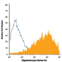 Human/Mouse/Rat/Chicken Oligodendrocyte Marker O4 PE-conjugated Antibody, R D Systems 100 Tests | Buy Online | R&D Systems | Fisher Scientific