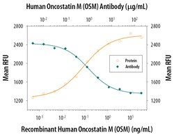 Human Oncostatin M/OSM Antibody, R D Systems 25&mu;g; Unlabeled:Antibodies,