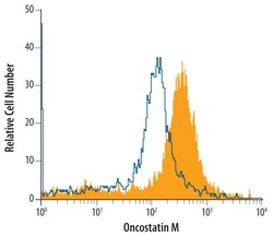 Human Oncostatin M/OSM Antibody, R D Systems 25&mu;g; Unlabeled:Antibodies,