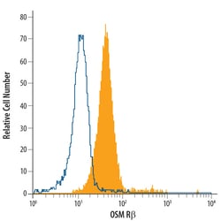 Mouse OSMR beta PE-conjugated Antibody, R D Systems 100 Tests; PE:Antibodies,