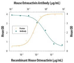 Mouse Osteoactivin/GPNMB Antibody, R D Systems 25&mu;g; Unlabeled:Antibodies,