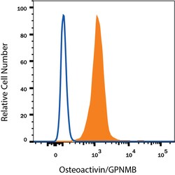 Human Osteoactivin/GPNMB Antibody, R D Systems 100ug; Unlabeled:Antibodies,