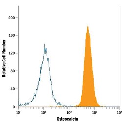 Human Osteocalcin APC-conjugated Antibody, R D Systems 100 Tests | Buy Online | R&D Systems | Fisher Scientific