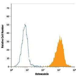 Human Osteocalcin APC-conjugated Antibody, R D Systems 100 Tests | Buy Online | R&D Systems | Fisher Scientific