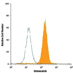 Human Osteocalcin PE-conjugated Antibody, R D Systems 100 Tests; PE:Antibodies,