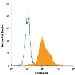 Human/Rat Osteocalcin Antibody, R D Systems 25&mu;g; Unlabeled:Antibodies,