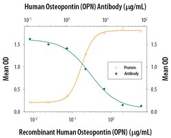 Human Osteopontin/OPN Antibody, R D Systems 100&mu;g; Unlabeled:Antibodies,