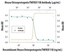 Mouse Osteoprotegerin/TNFRSF11B Antibody, R D Systems 25&mu;g; Unlabeled:Antibodies,