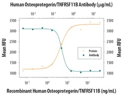 Human Osteoprotegerin/TNFRSF11B Antibody, R D Systems 25 &mu;g | Buy Online | R&D Systems | Fisher Scientific