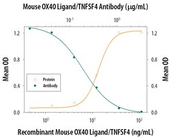 Mouse OX40 Ligand/TNFSF4 Antibody, R D Systems 100&mu;g; Unlabeled:Antibodies,