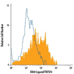 Human OX40 Ligand/TNFSF4 APC-conjugated Antibody, R D Systems 100 Tests;