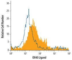 Human OX40 Ligand/TNFSF4 Antibody, R D Systems 100&mu;g; Unlabeled:Anticorps,