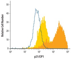 p21/CIP1/CDKN1A Goat anti-Human, Polyclonal, R D Systems 25&mu;g; Unlabeled,