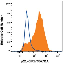 Human p21/CIP1/CDKN1A Antibody, R D Systems 25&mu;g; Unlabeled:Antibodies,