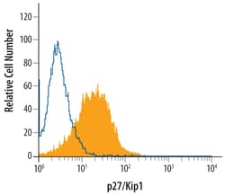 Human/Mouse/Rat p27/Kip1 Antibody, R D Systems 25&mu;g; Unlabeled:Antibodies,